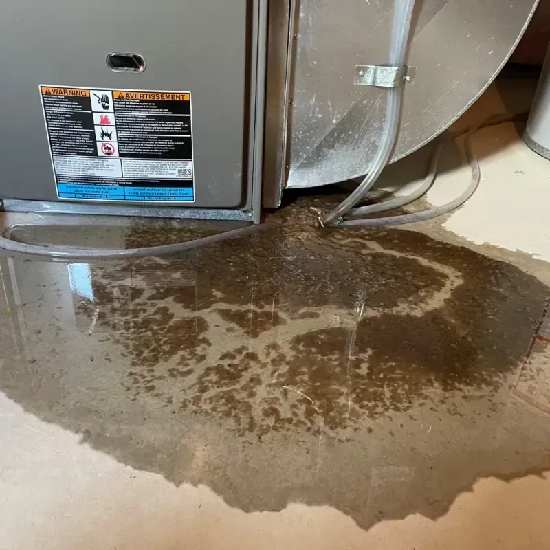 Appliance Leak Cleanup in Conyngham, PA